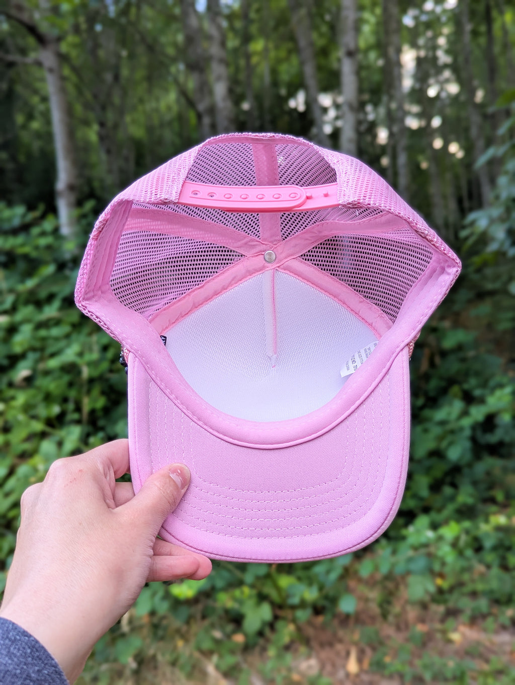Pink Butterfly